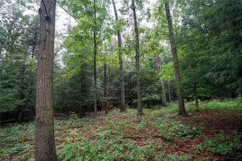 Meacham Rd, Jackson, OH 45692 photo 25