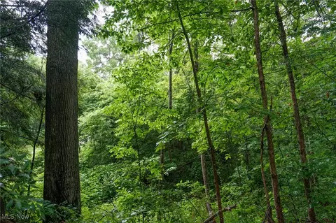 Meacham Rd, Jackson, OH 45692