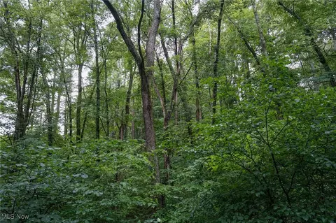 Meacham Rd, Jackson, OH 45621 photo 10