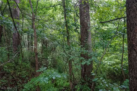 Meacham Rd, Jackson, OH 45621 photo 14