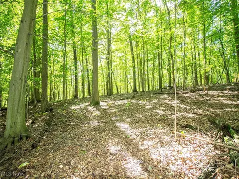 Mishey Road, Bellville, OH 44813