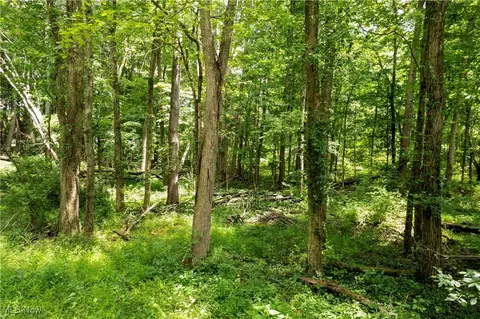 Township Road 1151 Road, Nova, OH 44859