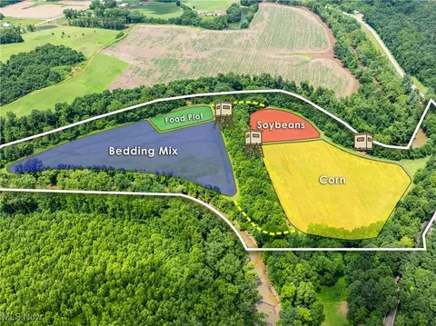 Plainfield Road, Kimbolton, OH 43749