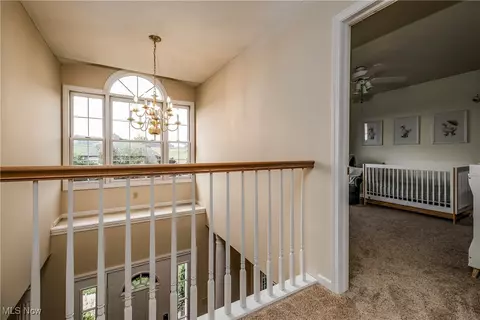 6704 Thicket St NW, Canton, OH 44708 photo 33