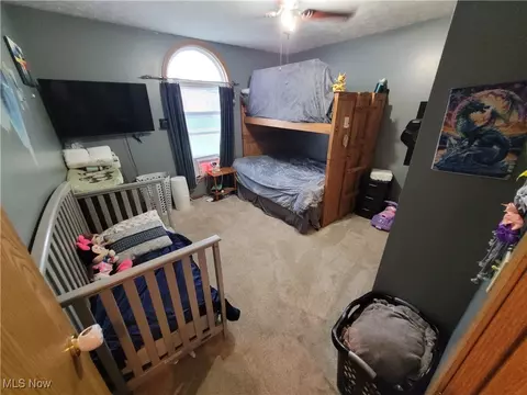 Bedroom - 455 Stallion Ct, Lagrange, OH 44050 photo 3 of 4
