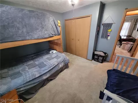 Bedroom - 455 Stallion Ct, Lagrange, OH 44050 photo 4 of 4
