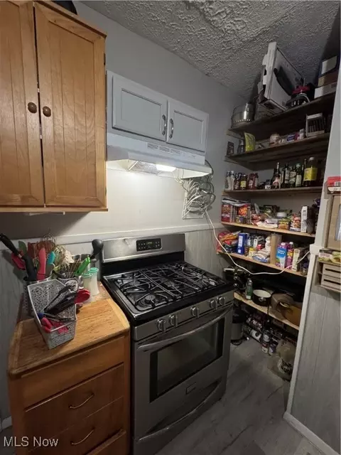 237 Gates Ave, Elyria, OH 44035 photo 5