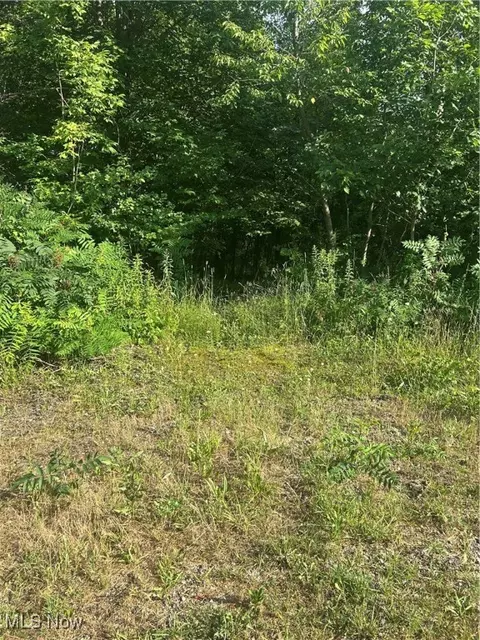 W West Salem Road, West Salem, OH 44287