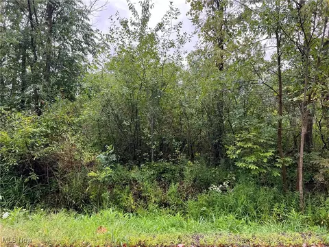 Vl Springfield Rd, Warrensville Heights, OH 44128