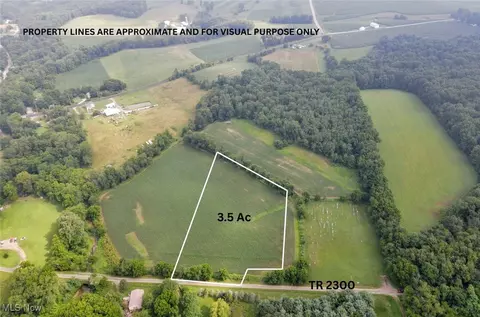 Tract 2 Township Rd 2300, Jeromesville, OH 44842
