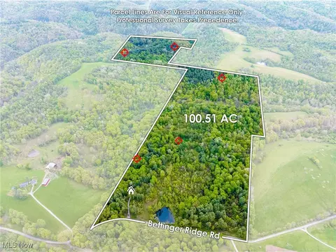 Bettinger Ridge Road, Caldwell, OH 43724