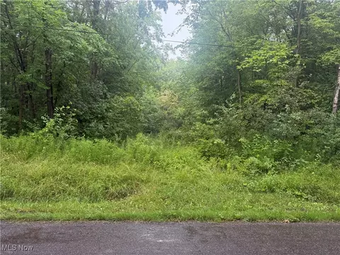 Mahan Denman Road Ne, Bristolville, OH 44402