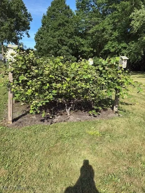 3868 Cook Rd, Rootstown, OH 44272 photo 36