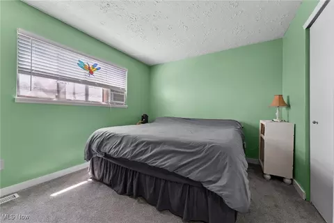 9900 Belden Dr, Windham, OH 44288 photo 16