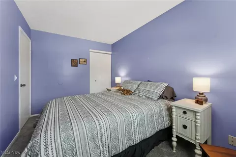 9900 Belden Dr, Windham, OH 44288 photo 15
