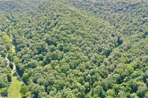 0002 Big Root Rd, Big Bend, WV 26136 photo 6