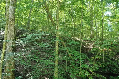 0002 Big Root Rd, Big Bend, WV 26136 photo 9