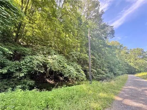 0002 Big Root Rd, Big Bend, WV 26136 photo 15