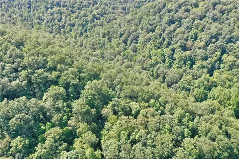 0002 Big Root Rd, Big Bend, WV 26136 photo 2