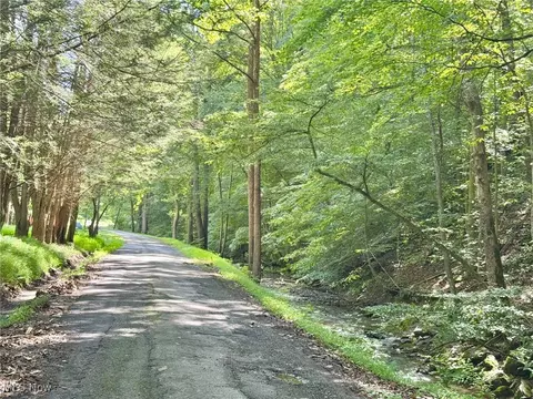 0002 Big Root Rd, Big Bend, WV 26136 photo 16