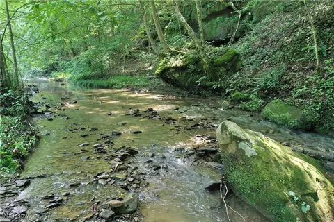 0002 Big Root Rd, Big Bend, WV 26136 photo 12