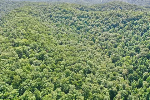 0002 Big Root Rd, Big Bend, WV 26136 photo 3