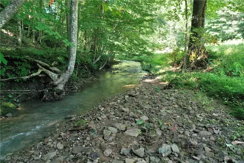 0002 Big Root Rd, Big Bend, WV 26136 photo 10