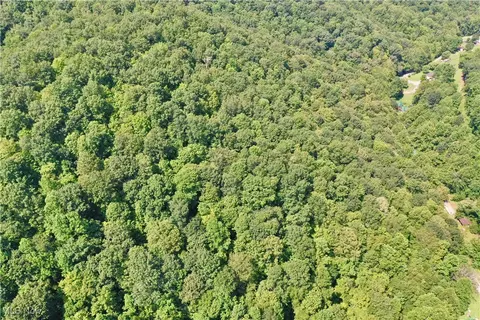 0002 Big Root Rd, Big Bend, WV 26136 photo 4