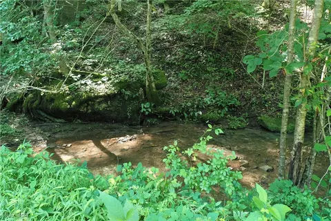 0002 Big Root Rd, Big Bend, WV 26136 photo 11