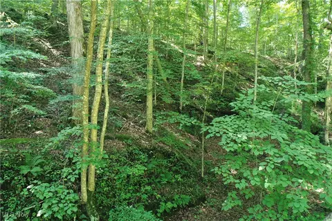 0002 Big Root Rd, Big Bend, WV 26136 photo 13