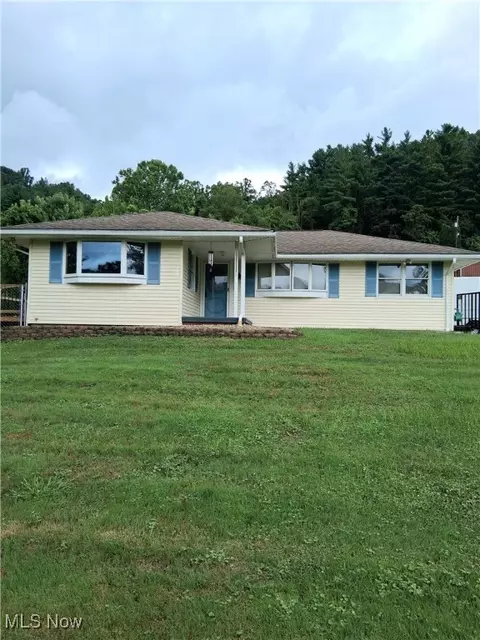 37311 Willow St, Sardis, OH 43946