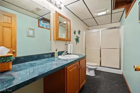 12691 Cissell Ln, Lagrange, OH 44050 photo 33