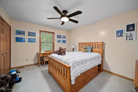 12691 Cissell Ln, Lagrange, OH 44050 photo 19