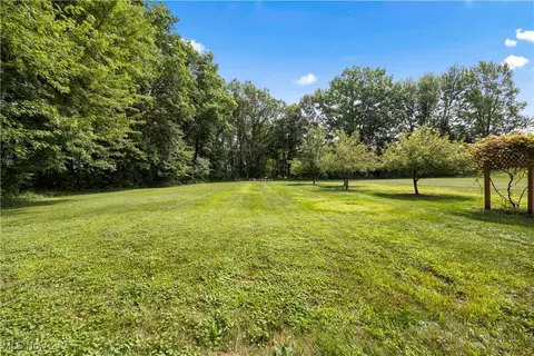 12691 Cissell Ln, Lagrange, OH 44050 photo 42