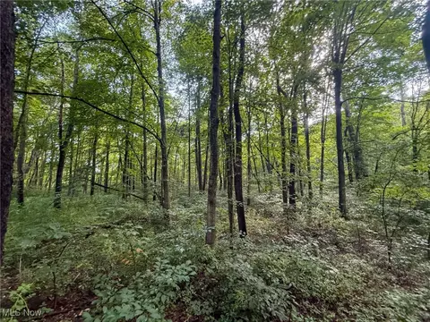 St Rt 93, Shawnee, OH 43782 photo 6