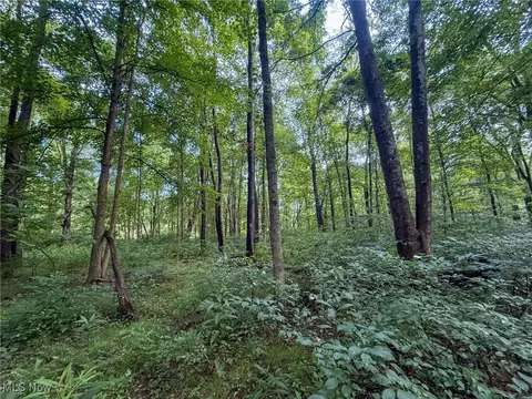 St Rt 93, Shawnee, OH 43782 photo 7