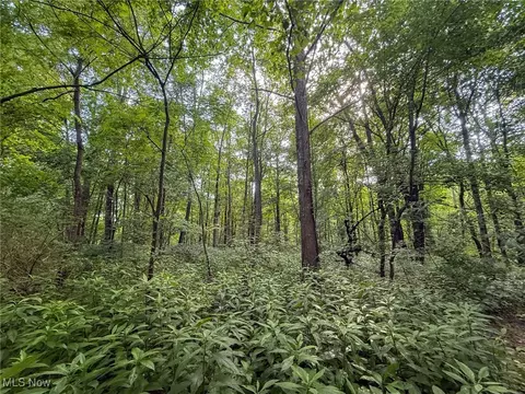 St Rt 93, Shawnee, OH 43782 photo 4