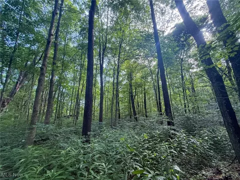 St Rt 93, Shawnee, OH 43782 photo 18