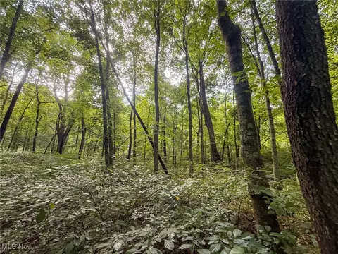 St Rt 93, Shawnee, OH 43782 photo 8