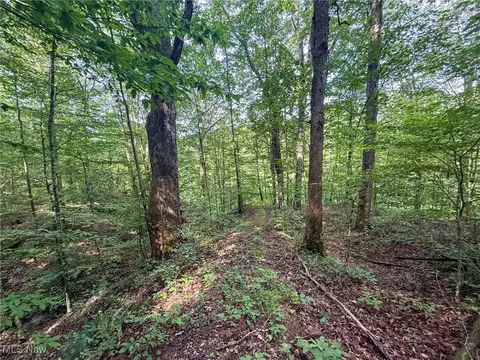 St Rt 93, Shawnee, OH 43782 photo 21