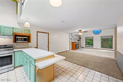 Living - 163 Burns Rd, Elyria, OH 44035 photo 4 of 8