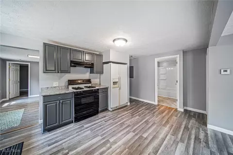 1120 Maple Ave, Madison, OH 44057 photo 7