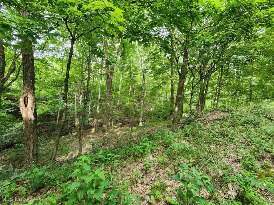  2224 Ocean Rd NE, Salineville, OH 43945 photo 9