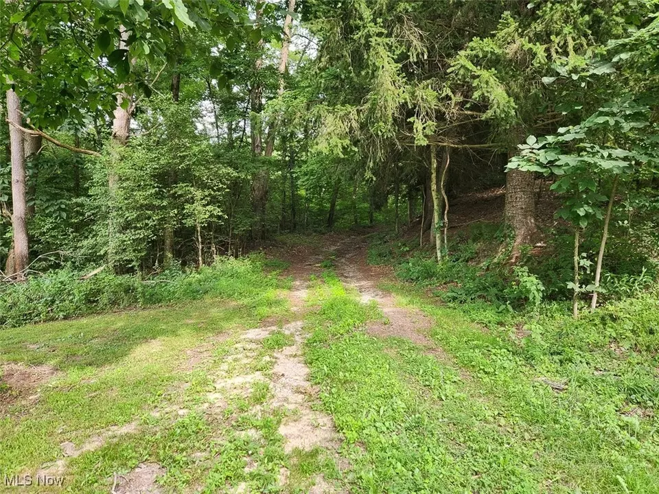  2224 Ocean Rd NE, Salineville, OH 43945 photo 4