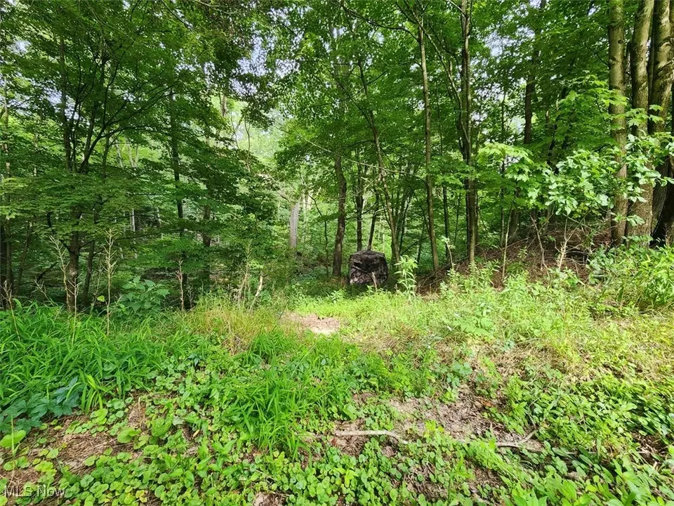  2224 Ocean Rd NE, Salineville, OH 43945 photo 11