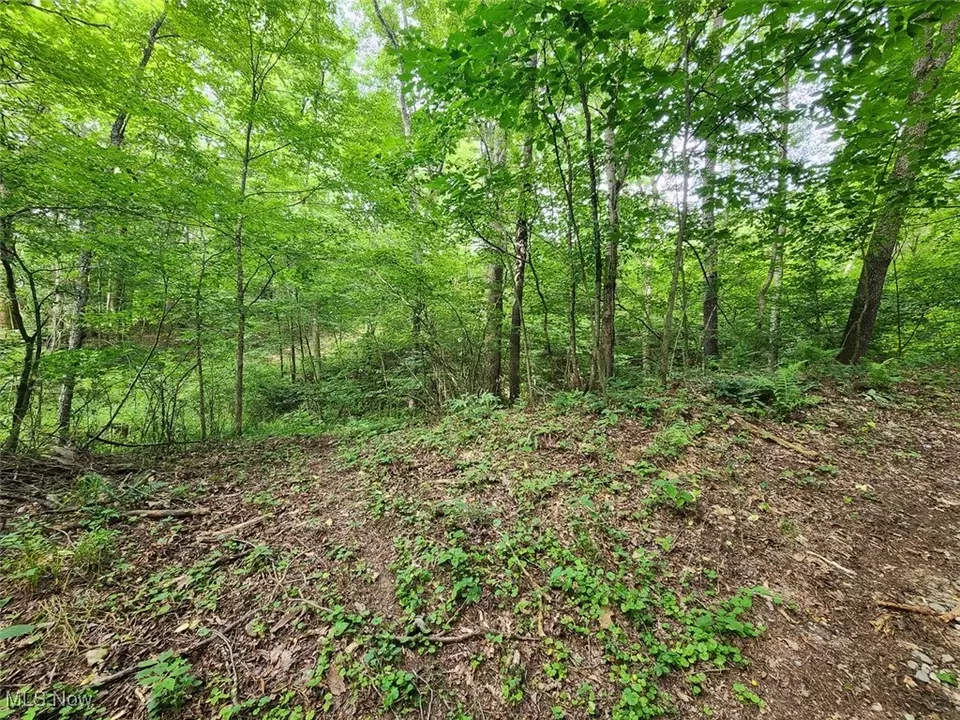 2224 Ocean Rd NE, Salineville, OH 43945 photo 7