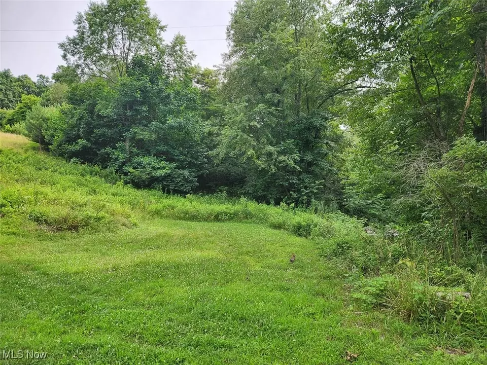  2224 Ocean Rd NE, Salineville, OH 43945 photo 3