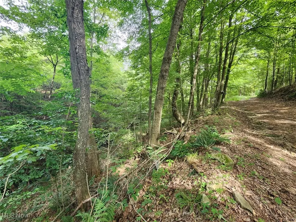  2224 Ocean Rd NE, Salineville, OH 43945 photo 8