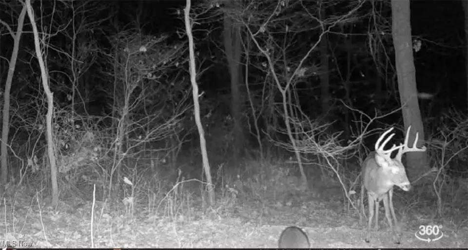  2224 Ocean Rd NE, Salineville, OH 43945 photo 30