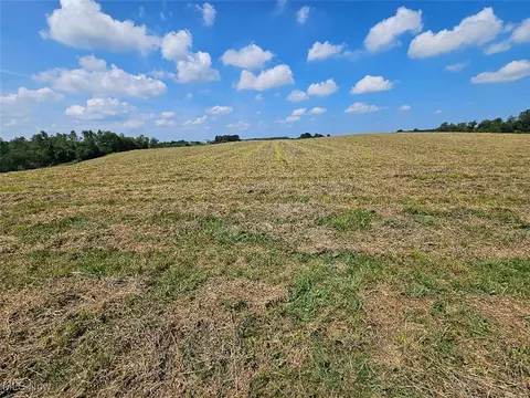 11583 Bower Rd, Minerva, OH 44657 photo 19
